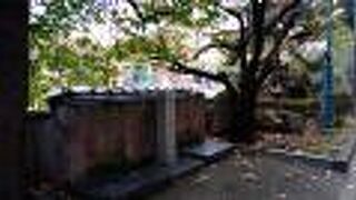 水芸のお水を出すスイッチが有りました