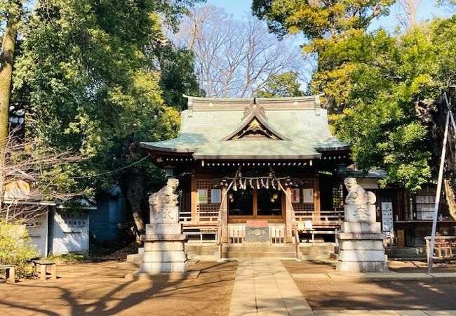 現在の目黒区八雲・東が丘・柿の木坂・自由が丘・緑が丘・平町・大岡山に当たる地域の鎮守です