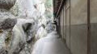 散策路として優秀