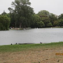 公園内の池