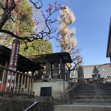 曽我兄弟ゆかりの城前寺