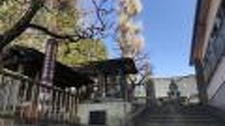 梅林と併せて寺社も回りたい