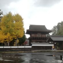 銀杏の紅葉がきれいでした。雨天でなく晴天時に訪れたかった。