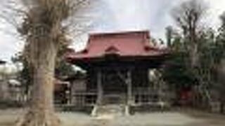 境内には多くの石塔がある