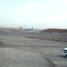 普段は見かけないほど多くの飛行機がいました