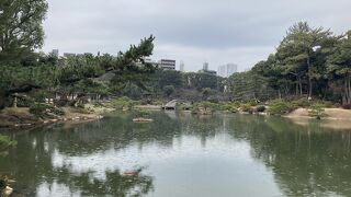 こじんまりした綺麗な庭園