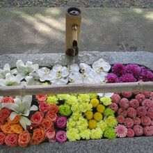 伏見稲荷神社の花手水