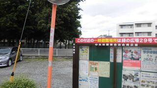 木が印象的でした