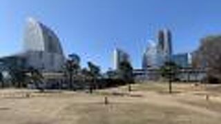 芝生のある静かな公園