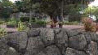 石垣島の普通の公園