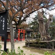 小さな神社！