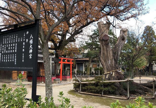 小さな神社！