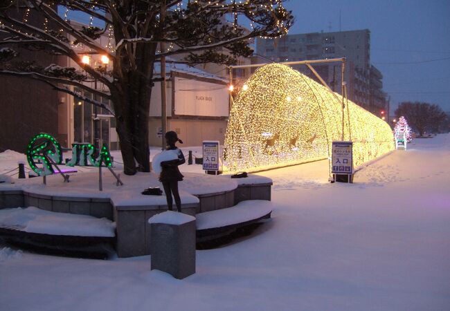 はこだて冬フェスティバル クチコミ アクセス 営業時間 函館 フォートラベル
