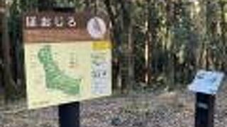 大きな森の中に浸れます