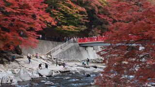 猿回しが可愛い。