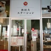 秋田犬ステーション