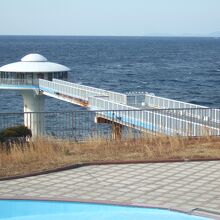 海の中はよく見えませんでした。