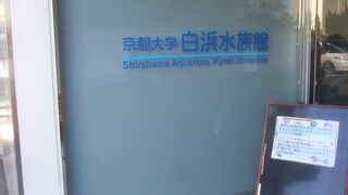 珍しい、大学附属の水族館です。