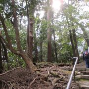 牛若丸が修業した山