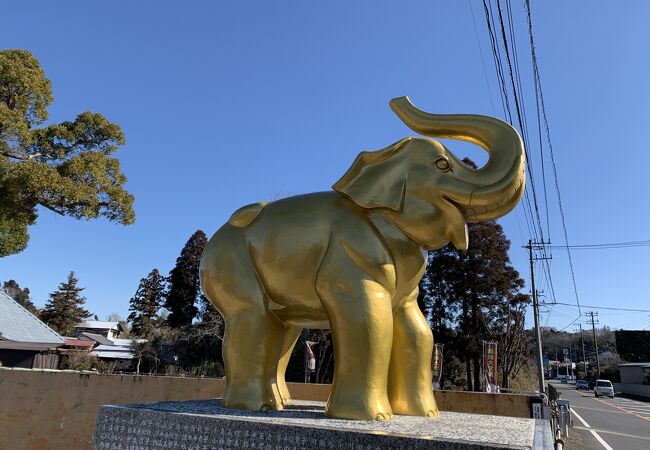 長福寿寺 クチコミ アクセス 営業時間 長南 睦沢 フォートラベル