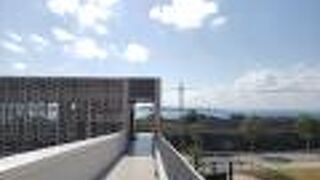 美ら海水族館近く