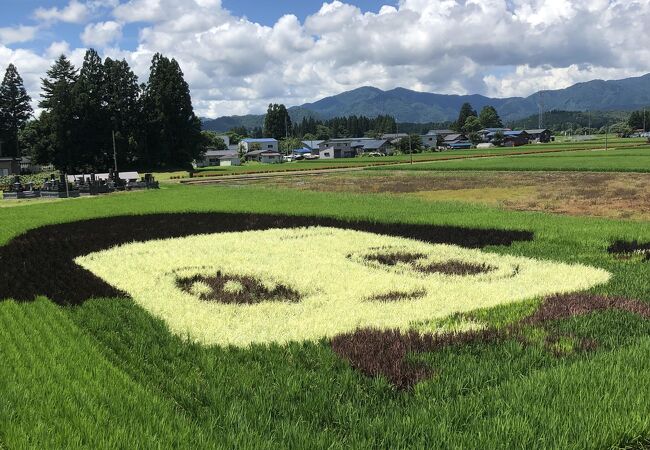 案内が少なむ分かり難いです