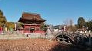 あの“さざれ石”が…！