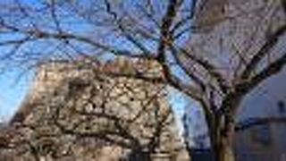 子供たちが走りまわっていました