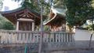 東参道側から参拝しました