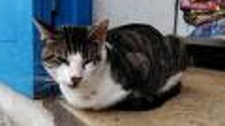 Centro storico (歴史地区)