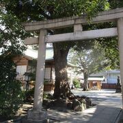 目黒区で一番古い神社。