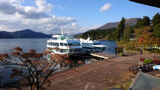 箱根神社の鳥居を湖側からみれます