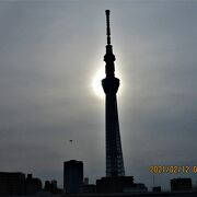 東京スカイツリーと隅田川の桜