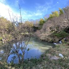 帷子川親水緑道