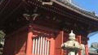 赤い色が眩しい