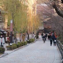 桜や柳の名所だ