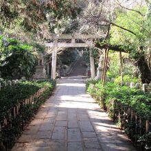 鳥居を越えると…