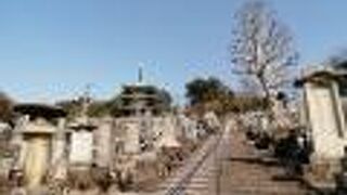 意外なものに出会えた