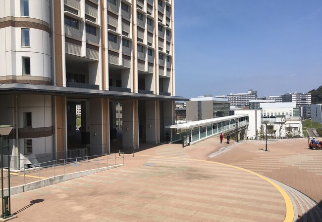 九州大学