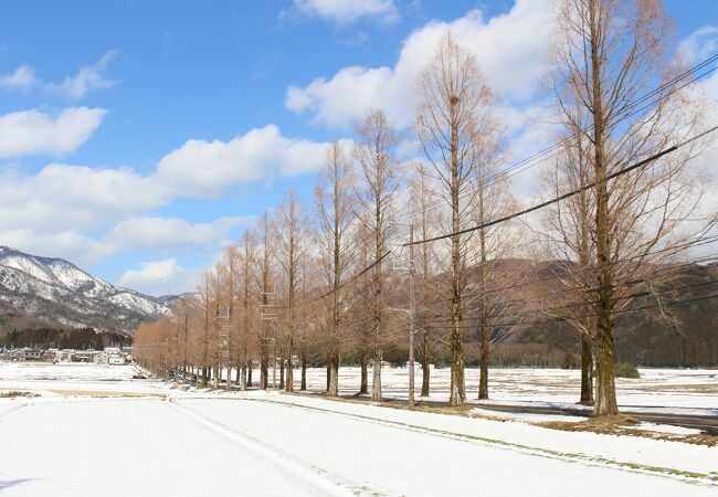 青空の下の雪景色もとてもよかったです