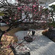 柿本神社の隣にある月照寺さん