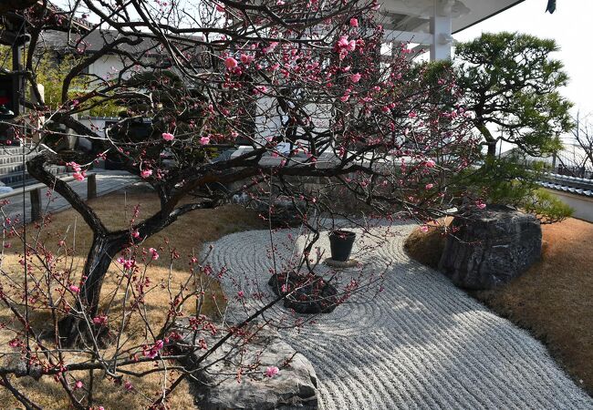 柿本神社の隣にある月照寺さん