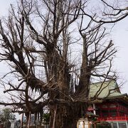 紅葉の時期に再訪したいです