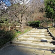 さて園内に入ります