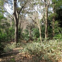 思ったよりも標高もあって驚きます