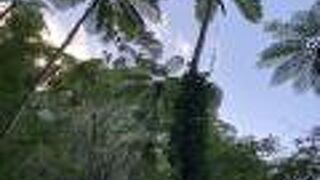 雰囲気が素晴らしい