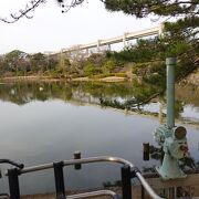千葉公園内にある美しい池