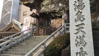 梅の花がキレイ