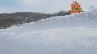 冬の男山自然公園の様子