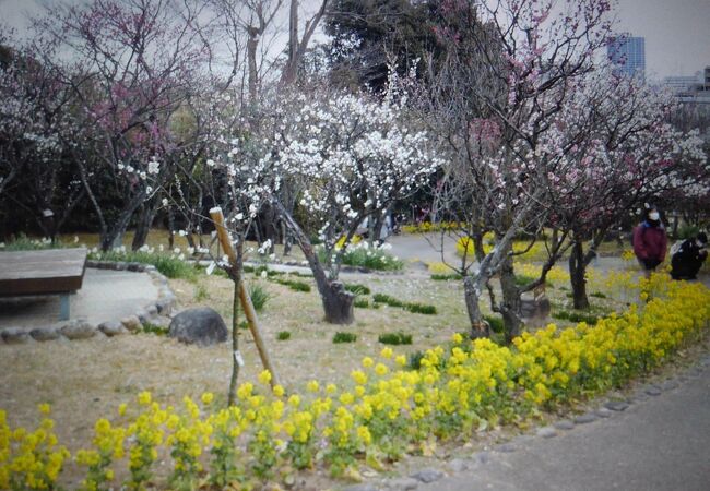 須磨のおすすめ観光スポット クチコミ人気ランキングtop フォートラベル 兵庫県 須磨のおすすめ観光スポット クチコミ人気ランキングtop フォートラベル 兵庫県